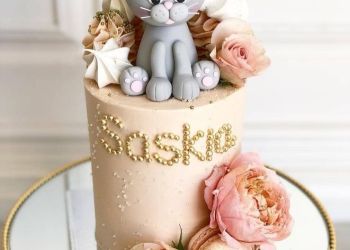 کیک تولد و نامزدی