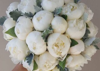 گل عروسی
