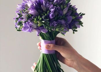 گل عروسی